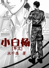 军文小说甜宠推荐
